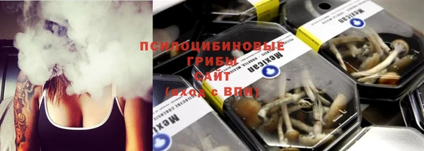 гашик Алзамай