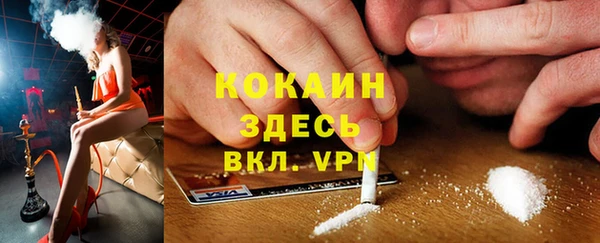 гашик Алзамай